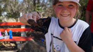 Some of the yabbies were massive!